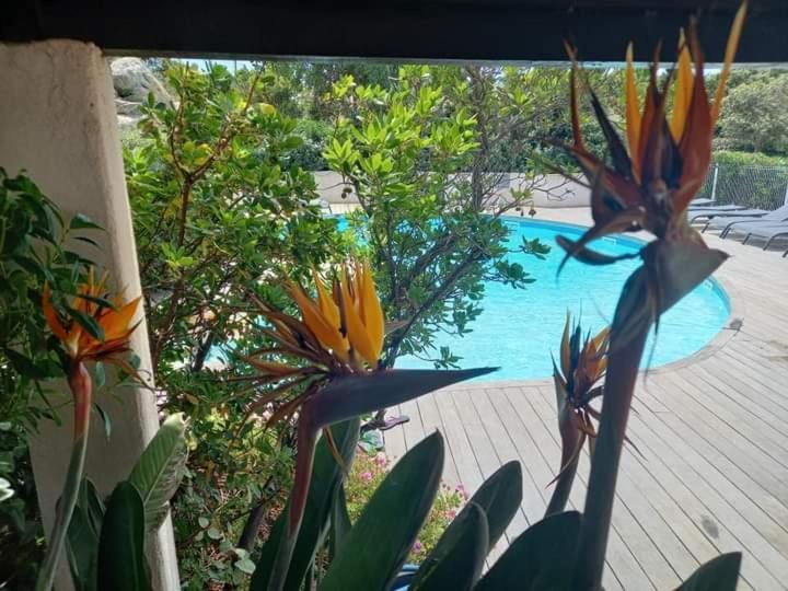 Residence Stella D'Oro Porto-Vecchio  Eksteriør bilde
