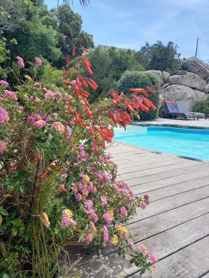 Residence Stella D'Oro Porto-Vecchio  Eksteriør bilde